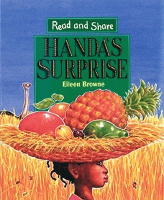 bokomslag Handa's Surprise