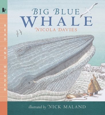 Nicola Davies - Big Blue Whale, Häftad