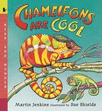 bokomslag Chameleons Are Cool: Read and Wonder