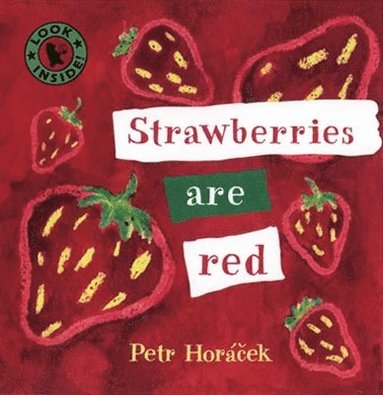 Petr Horacek - Strawberries Are Red, Kartonnage