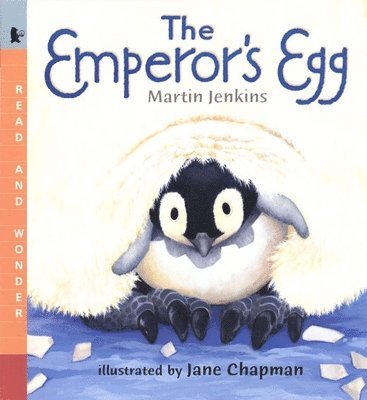 The Emperor's Egg: Read and Wonder 1