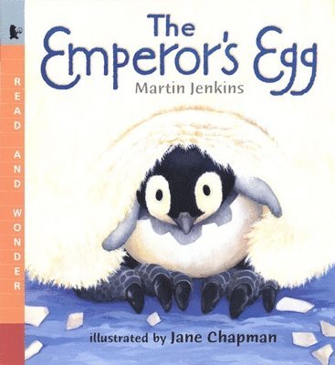 Martin Jenkins - The Emperor's Egg, Häftad