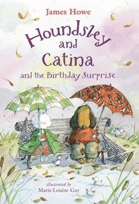 bokomslag Houndsley and Catina and the Birthday Surprise
