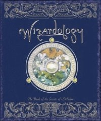 bokomslag Wizardology