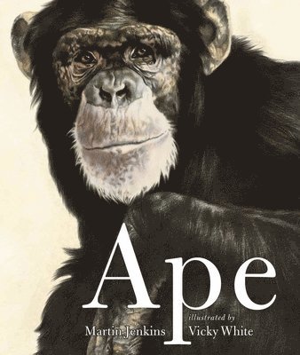 Martin Jenkins - Ape, Inbunden. Tillgänglighet: Tillfälligt slut