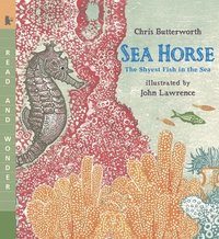 bokomslag Sea Horse: The Shyest Fish in the Sea: Read and Wonder