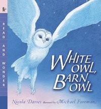 bokomslag White Owl, Barn Owl: Read and Wonder
