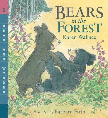 bokomslag Bears in the Forest: Read and Wonder