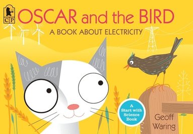 bokomslag Oscar and the Bird: A Book about Electricity