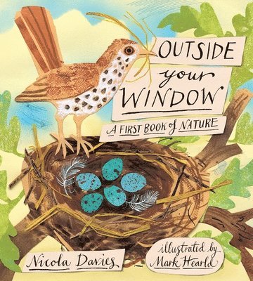 Nicola Davies - Outside Your Window: A First Book of Nature, Inbunden