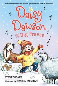bokomslag Daisy Dawson and the Big Freeze