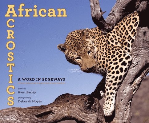 African Acrostics: A Word in Edgeways 1