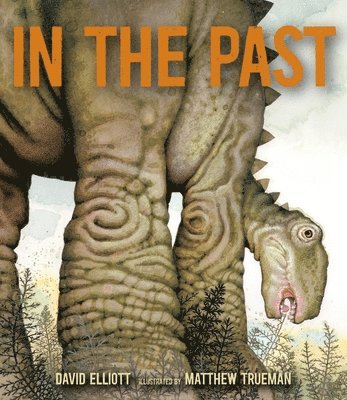 In the Past: From Trilobites to Dinosaurs to Mammoths in More Than 500 Million Years 1