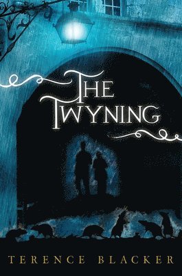 Terence Blacker - The Twyning, Inbunden