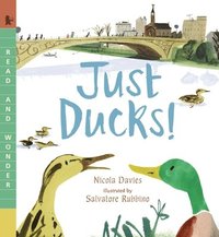 bokomslag Just Ducks!: Read and Wonder