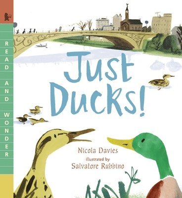 Just Ducks!: Read and Wonder 1