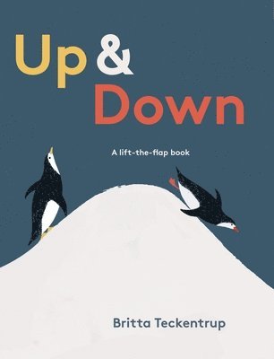Up & Down: A Lift-The-Flap Book 1