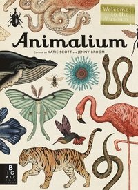 bokomslag Animalium: Welcome to the Museum