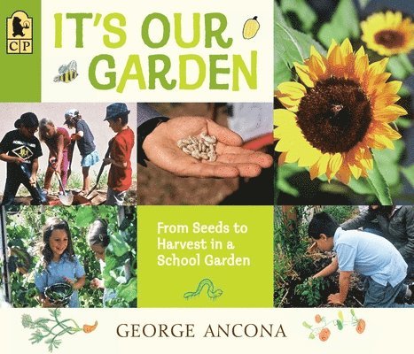 George Ancona - It's Our Garden: From Seeds to Harvest in a School Garden, Häftad