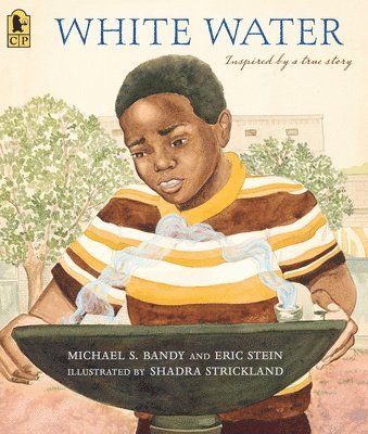 Michael S. Bandy, Eric Stein - White Water, Häftad