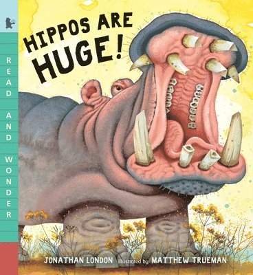 bokomslag Hippos Are Huge!: Read and Wonder