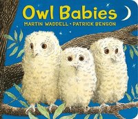 bokomslag Owl Babies