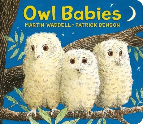 Owl Babies 1