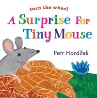 bokomslag A Surprise for Tiny Mouse