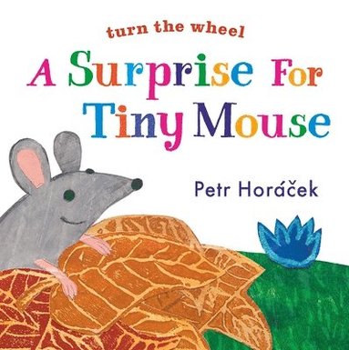 Petr Horacek - A Surprise for Tiny Mouse, Kartonnage