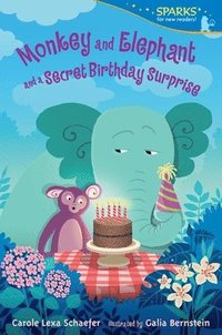 bokomslag Monkey and Elephant and a Secret Birthday Surprise: Candlewick Sparks