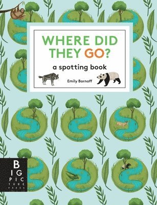 Big Picture Press - Where Did They Go?, Inbunden