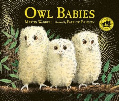 Martin Waddell - Owl Babies, Inbunden