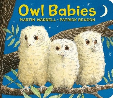 Martin Waddell - Owl Babies Oversized Board Book, Kartonnage