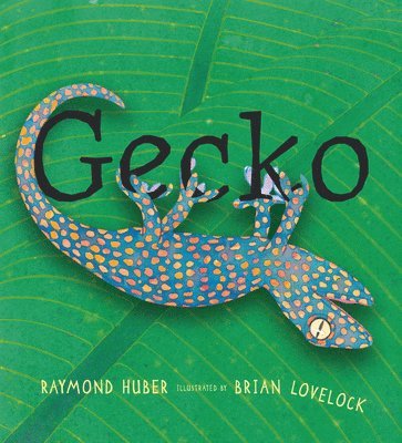 Raymond Huber - Gecko, Inbunden