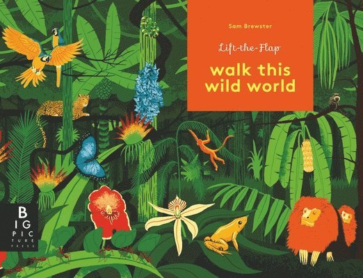 Kate Baker - Walk This Wild World, Inbunden