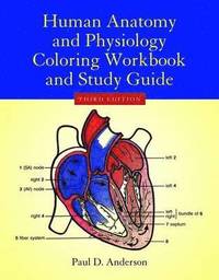 bokomslag Human Anatomy  &  Physiology Coloring Workbook