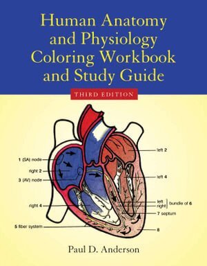 Paul D. Anderson - Human Anatomy & Physiology Coloring Workbook, Häftad
