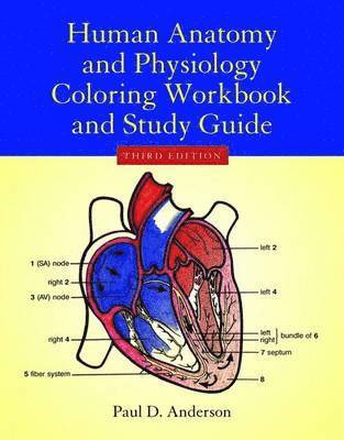 Human Anatomy  &  Physiology Coloring Workbook 1