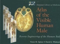 bokomslag National Library Of Medicine Atlas Of The Visible Human Male: Reverse Engineering Of The Human Body