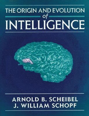 Scheibel, Schopf - The Origin and Evolution of Intelligence: ., Häftad