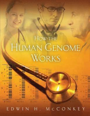 bokomslag How the Human Genome Works: .