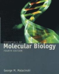 bokomslag Essentials Of Molecular Biology