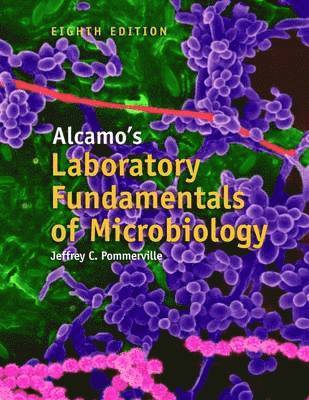 bokomslag Alcamo's Laboratory Fundamentals of Microbiology