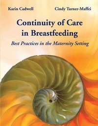 bokomslag Continuity Of Care In Breastfeeding: Best Practices In The Maternity Setting