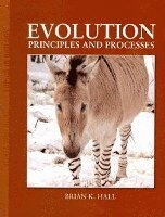 bokomslag Evolution: Principles And Processes