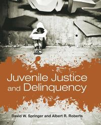 bokomslag Juvenile Justice And Delinquency