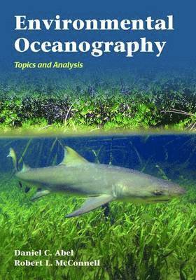 bokomslag Environmental Oceanography: Topics And Analysis