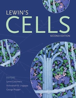 Lewin's Cells 1