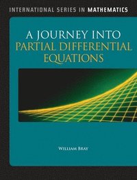 bokomslag A Journey into Partial Differential Equations