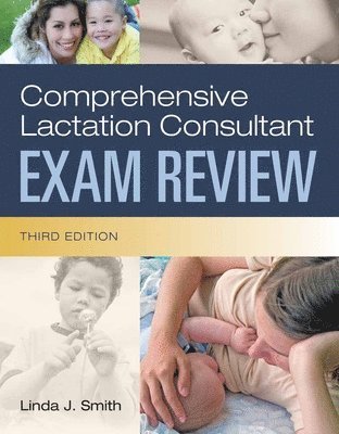 bokomslag Comprehensive Lactation Consultant Exam Review